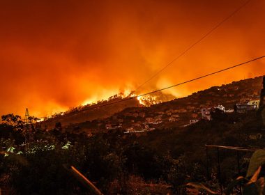 Trumps Rejects California’s Request for Federal Assistance to Repair Wildfire Damages